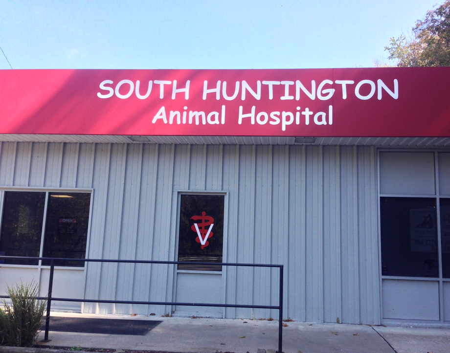 South Huntington Animal Hospital